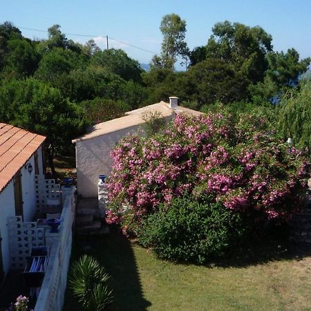 Residence Villa Morosi - Favone Conca Eksteriør bilde