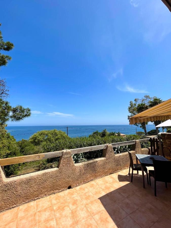 Residence Villa Morosi - Favone Conca Eksteriør bilde