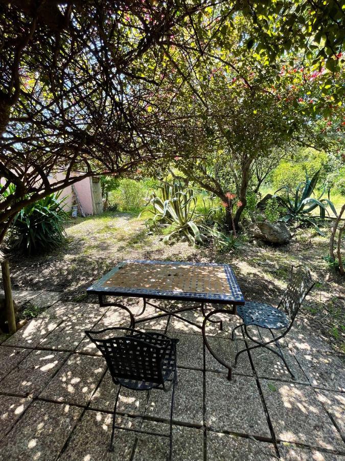 Residence Villa Morosi - Favone Conca Eksteriør bilde